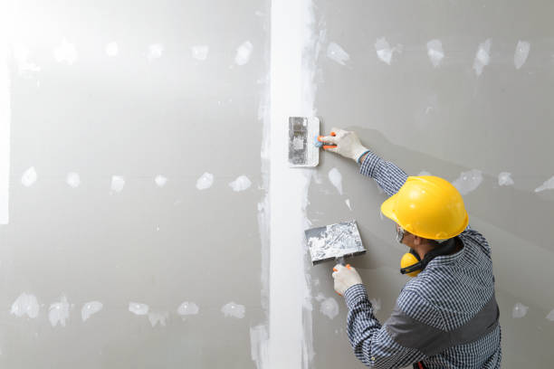 Best HVAC Mold Inspection and Cleaning  in Valencia, NM