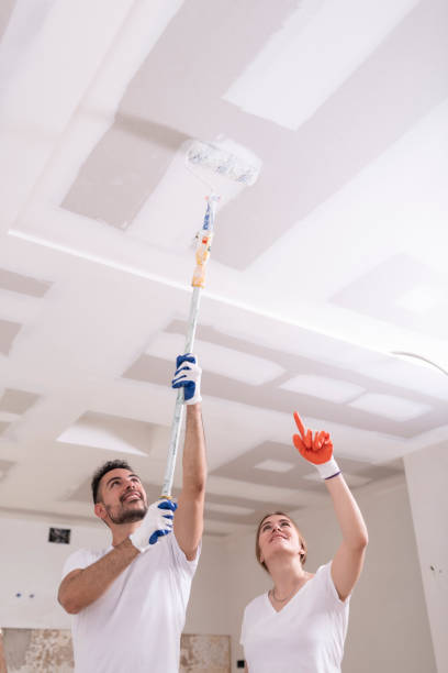 Valencia, NM Mold Removal Company