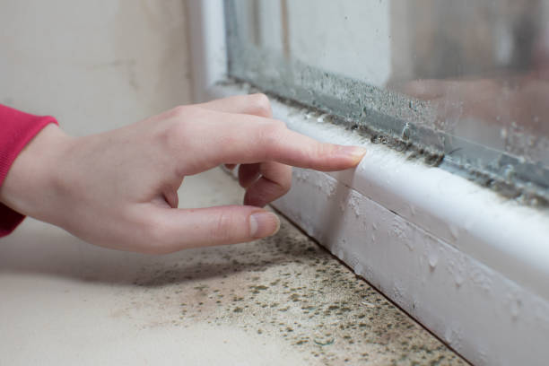 Best Residential Mold Inspection & Testing  in Valencia, NM