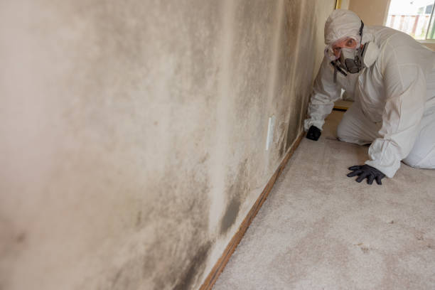Best Airborne Mold Testing  in Valencia, NM