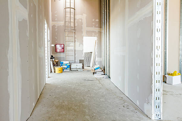 Best Mold Documentation for Insurance Claims  in Valencia, NM
